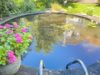 Schwimmteich