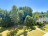 Parkblick