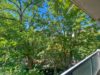 Blick seitlich